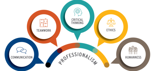 Five-Principles-Professionalism